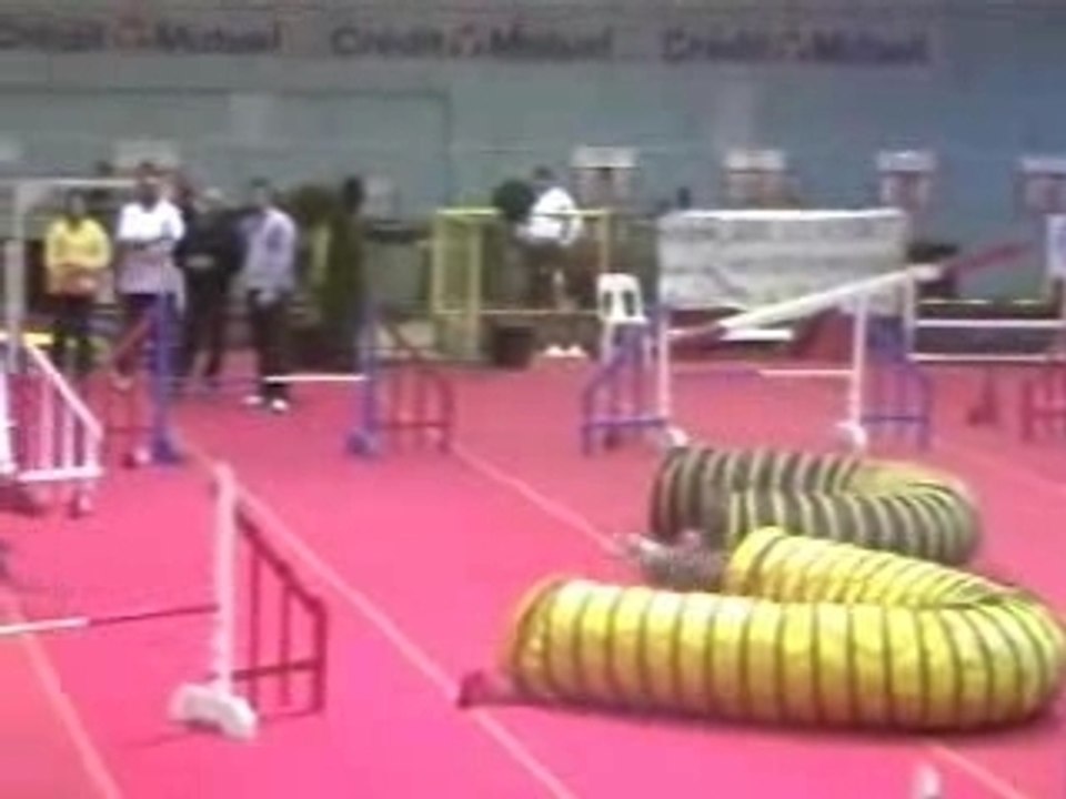 Artéïs annonay jumping