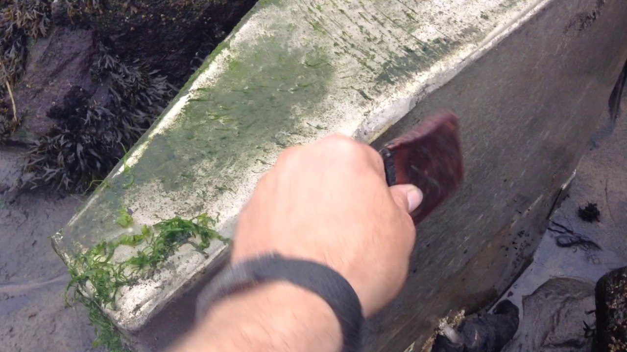 Big Piece of Aluminum found on the shore