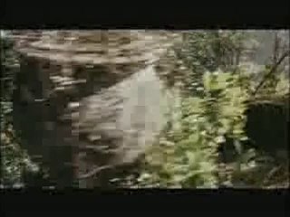 İçimizdeki Şeytan - Fragman