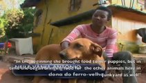 Amazing: this female dog demonstrated incredible generosity