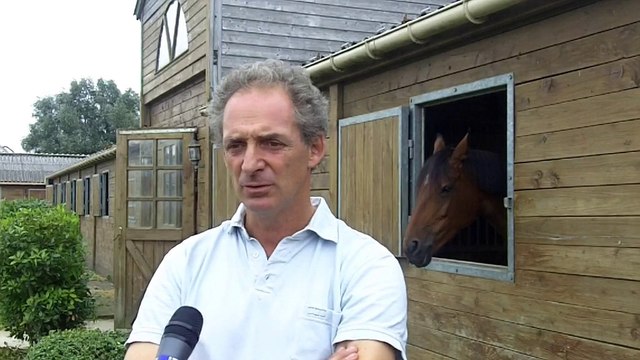 L'épreuve d'attelage aux Jeux Equestres Mondiaux