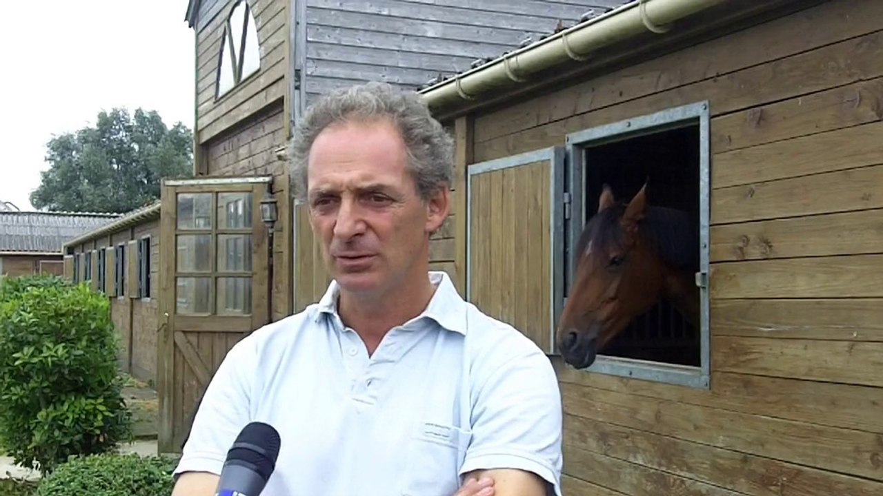 L'épreuve d'attelage aux Jeux Equestres Mondiaux