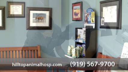 Welcome to HillTop Animal Hospital