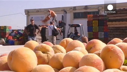 Les fruits grecs victimes de la guerre économique entre l'UE et Moscou