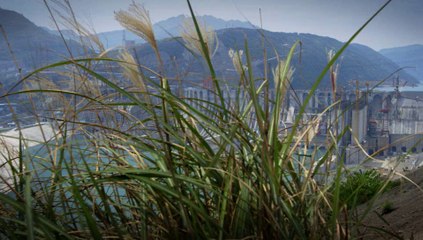 Caterpillar 2013 Sustainability Report: Chairman's Message Video