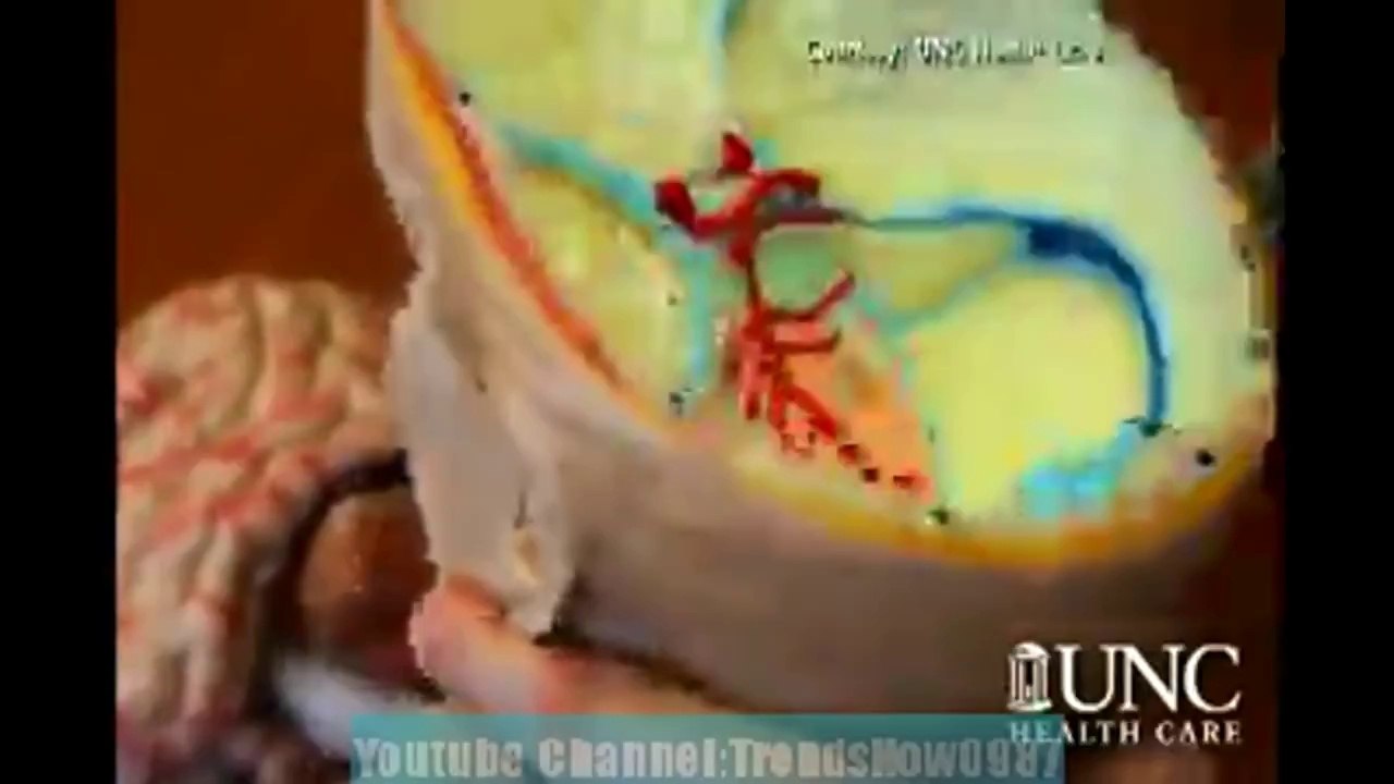 A deaf child hears his father's voice for the first time