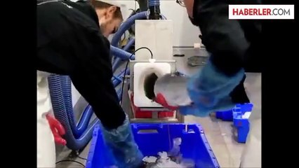 Somon Balıklarını Tüple Güvenli ve Kolay Nakletme Yöntemi Geliştirildi 🐟