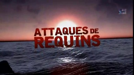 attaques de requins épis.1[contact animal]