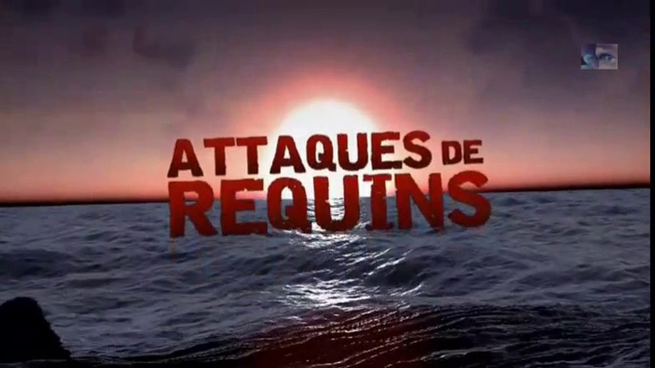 attaques de requins épis.1[contact animal]