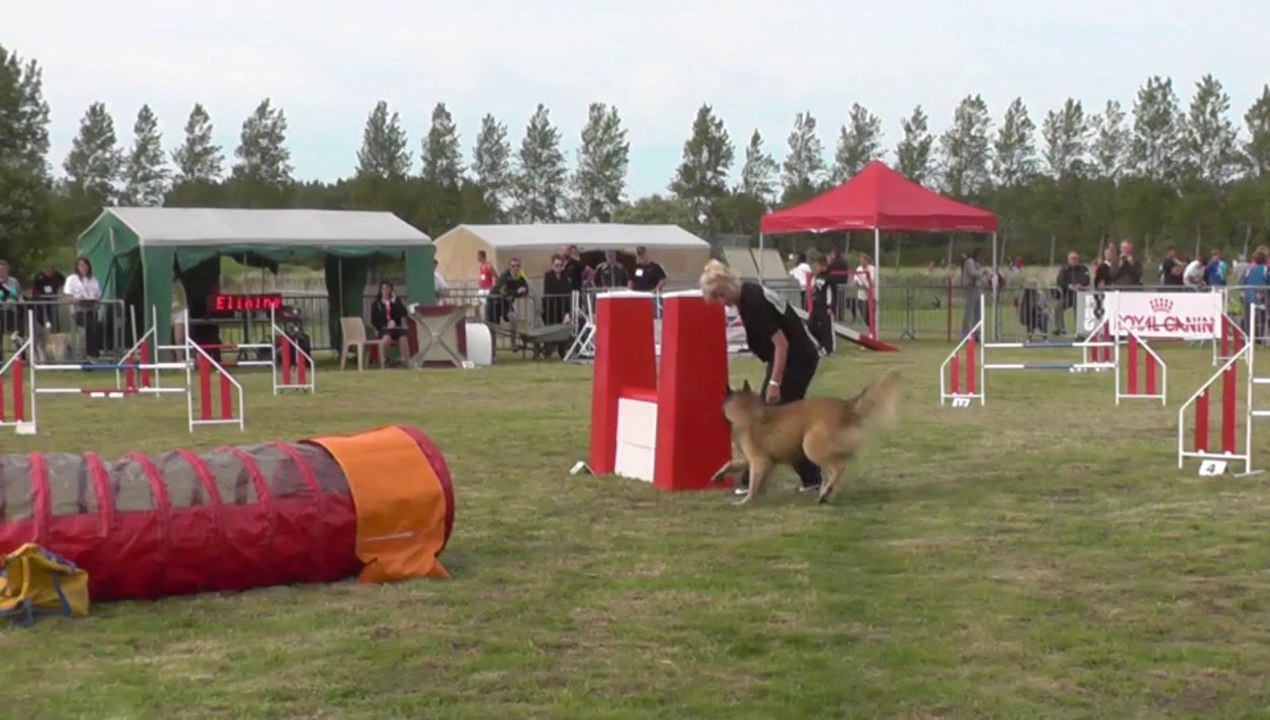 TROPHEE 2014 AUPTION M2