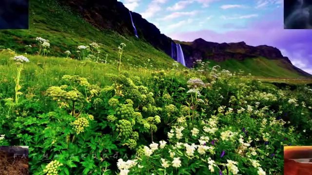 Sabahat AKKİRAZ - Yar Senin Derdinden