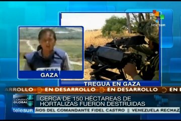 Israel pretende destruir los campos cultivables de Gaza