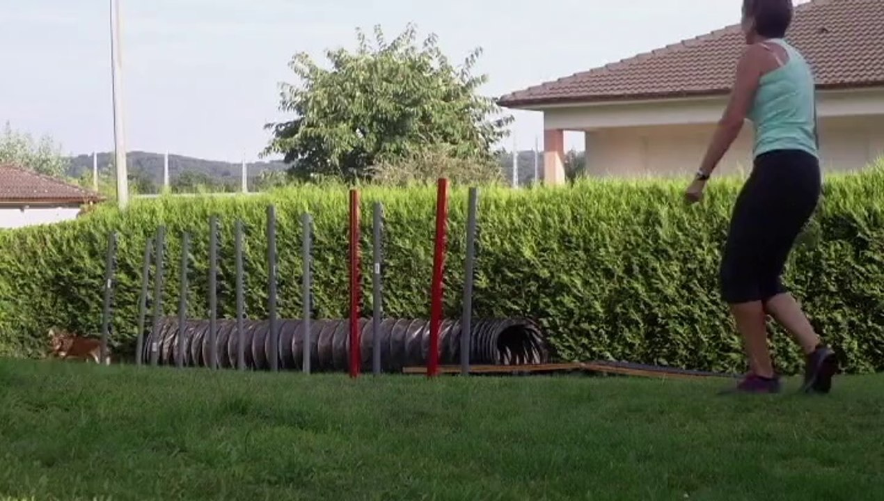 Ringarooma Jewel 6 mois....les débuts au slalom