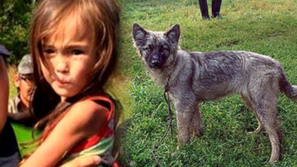 Girl Lost for 11 Days in Siberia Saved by Puppy