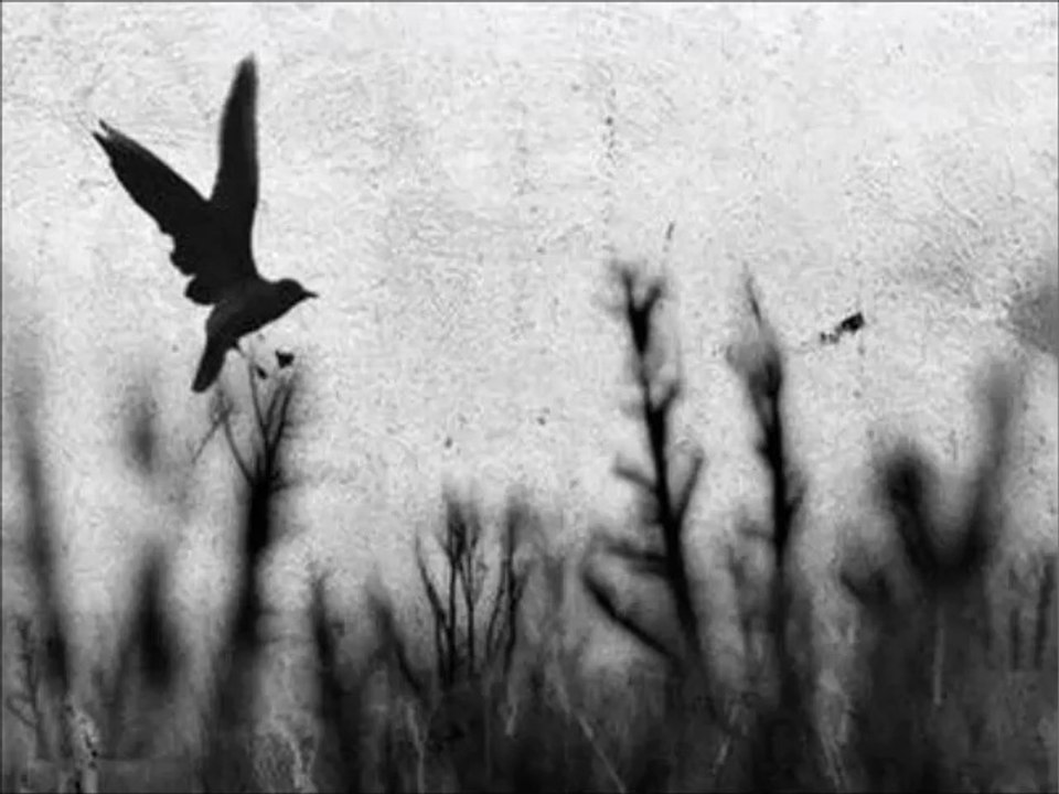 Speaking Silence - The Lost Tale