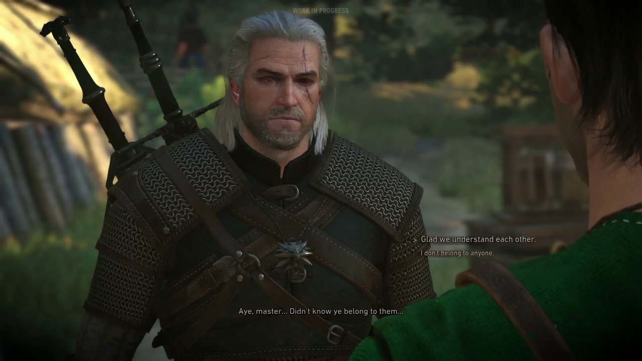 The Witcher 3 : Wild Hunt - Gameplay "Downwarren"