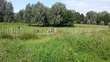 Un air de campagne en Seine-Saint-Denis (Parc du Sausset)