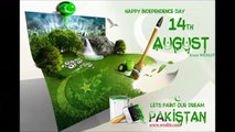 14th August 2014 - Independence Day Pakistan - Fireworks - CELEBRATIONS by wedding lights www.wedlit.com-SD