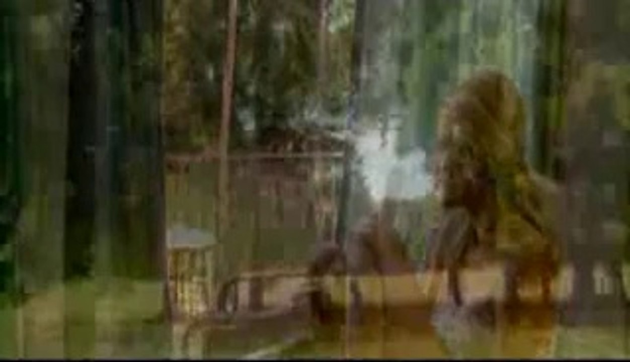 Sonsuz Aşk - Fragman