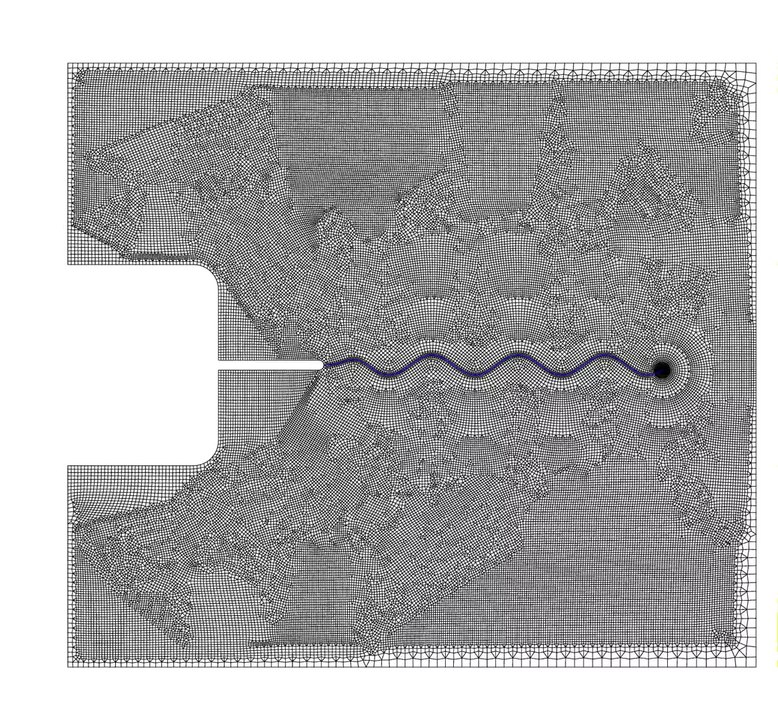 Sample deformation for experiment 001