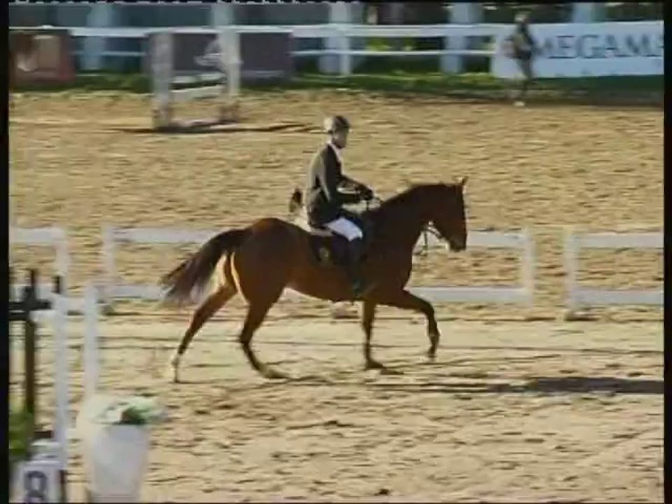 San Jorge Othello