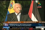 Venezuelan people reaffirm its support for Palestinian people