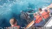 U.S. Coast Guard Rescues Turtle Tangled In Fishing Line