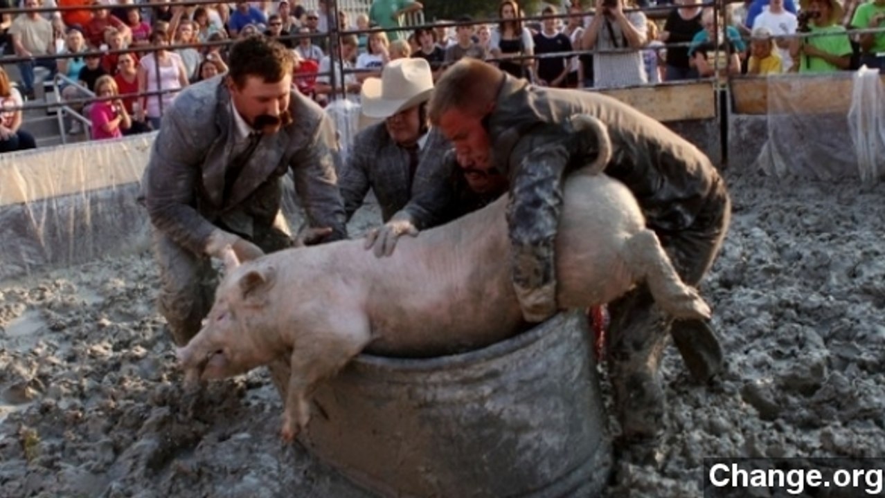 Should This Church Cancel Its Pig Wrestling Event?