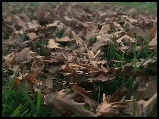 Ritorno dalla morte / Frankenstein 2000 (1991) - Dream Sequence