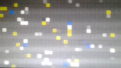 Simuación básica de sociedades de individuos