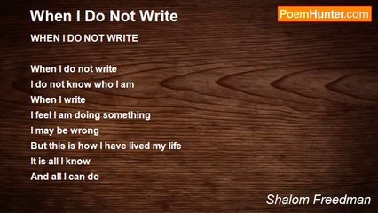 Shalom Freedman - When I Do Not Write