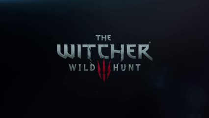 The Witcher 3  Wild Hunt “Downwarren” gameplay teaser