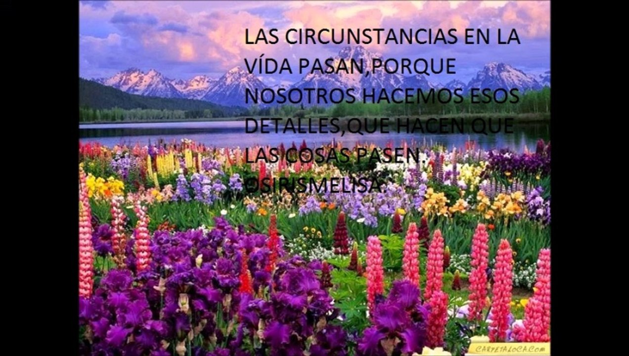 OSIRISMELISASENTIMIENTOS-40
