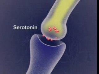 How Anti-depressants Work