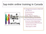 sap mdm online training in india,usa,pue,mumbai