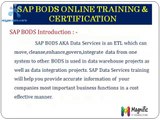 Sap Bods online training usa,uk,canada,pune