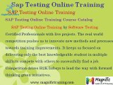 Sap Testing Online Classes & Training @ magnifictraining.com