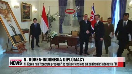 N. Korea comes up with concrete proposal to reduce tensions on peninsula Indonesia FM