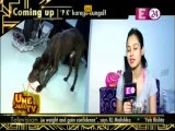 Jhalak Dikhhla Jaa 7 14th August 2014 Pooja ke coffee dog