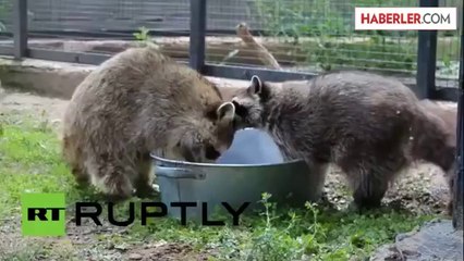 Can Sıkıntılarını Çamaşır Yıkayarak Attılar