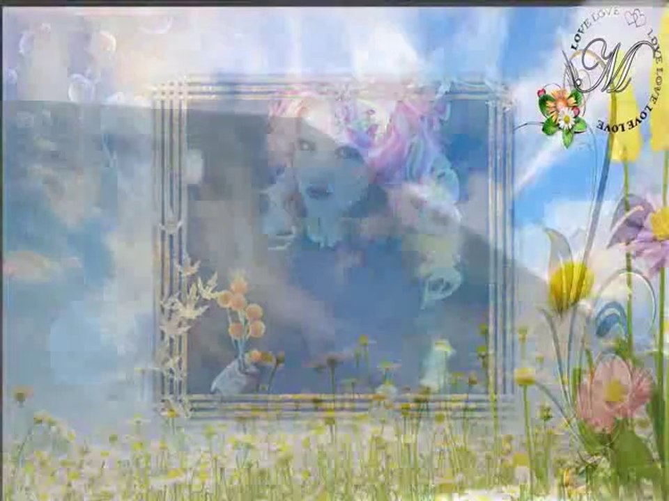 Yaşar - Sevda Sinemalarda