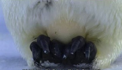 BAMWAR .COM『』용인오피한심이 일산서구오피≤비용은