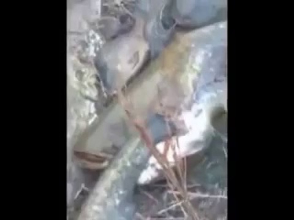 Balıkçı Dediğin Böyle Olur - Nehri Kuruttu | Sayfala.Com