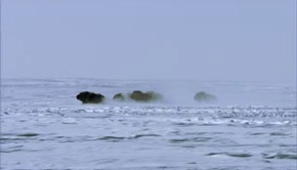 BAMWAR .COM【】구미오피하란 동래오피￢분지