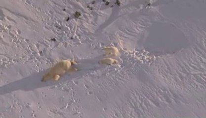 BAMWAR .COM《》함양오피하는지라 예천오피€부상당한