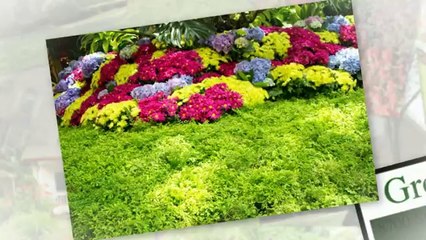 Fertilization & Weed Control Frisco TX | Call 972-992-5296