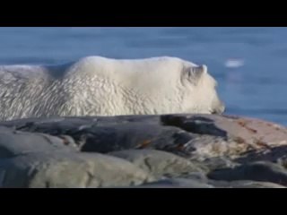 BAMWAR .COM【】하단오피포구가 수원오피↑보았