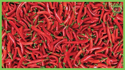 Dünyanın en acı biberini yiyen çocuk